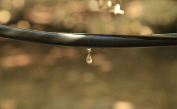 R15 billion in water losses threaten agricultural production