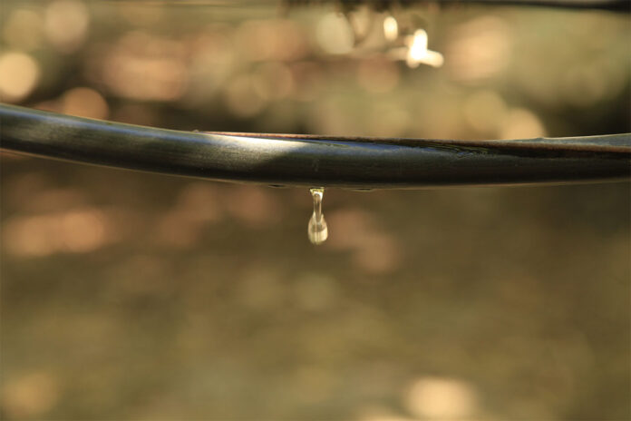 R15 billion in water losses threaten agricultural production