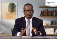 Land transfer is underway Unlocking agricultural potential A