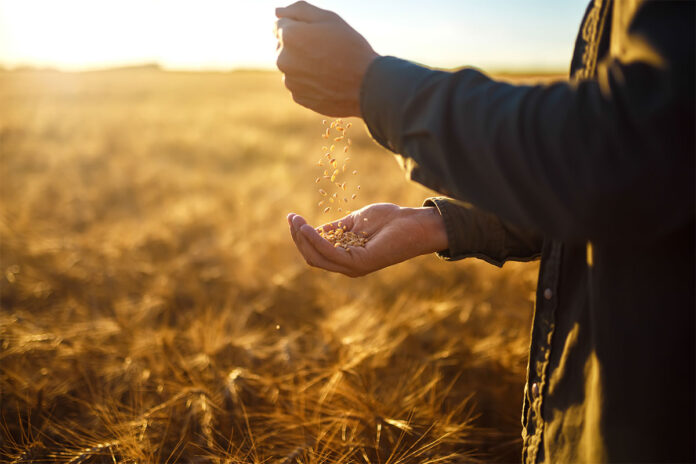 Correct timing needed for farm transactions