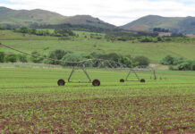 El Niño: preparing farm finances for a drier season