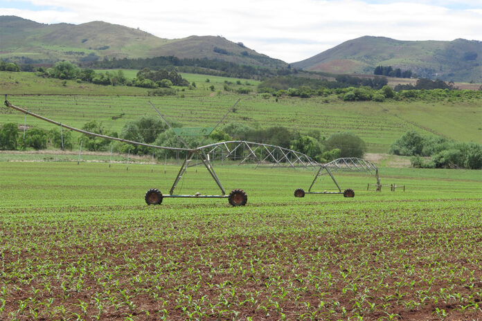 El Niño: preparing farm finances for a drier season