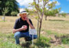 Wine, apples, and the art of ageing very well