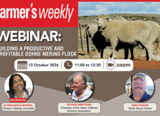 Webinar: Building a productive and profitable Dohne Merino flock