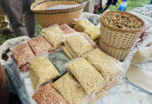 Eastern Cape agri show promotes knowledge sharing and business growth