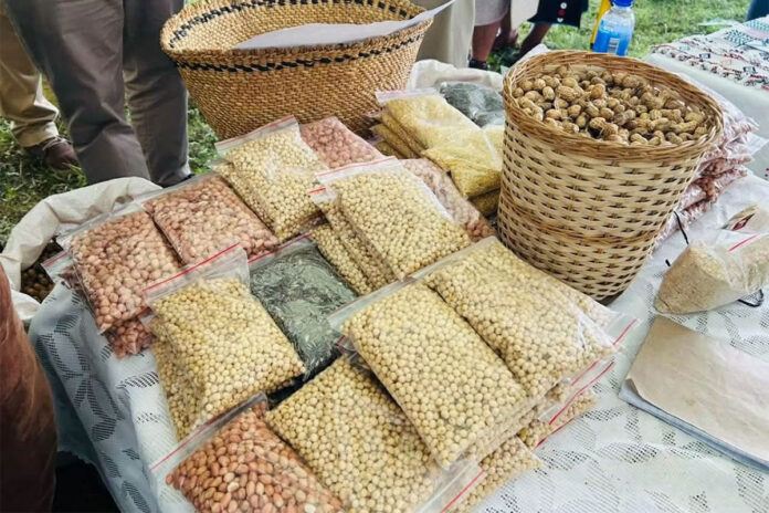 Eastern Cape agri show promotes knowledge sharing and business growth