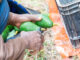 Employers face tougher penalties for non-compliance when hiring labour