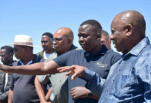 Call for banks to ease lending restrictions for emerging farmers