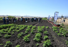 KwaZulu-Natal Multi-Planting Season highlights need for El Niño preparedness