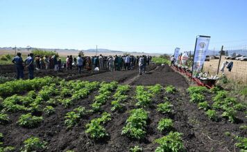 KwaZulu-Natal Multi-Planting Season highlights need for El Niño preparedness