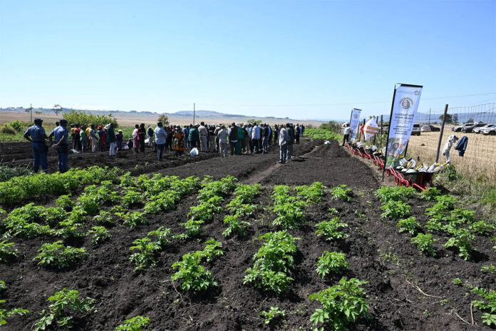 KwaZulu-Natal Multi-Planting Season highlights need for El Niño preparedness