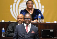 Budget offers farmers relief, but implementation is key
