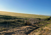 Eastern Cape emerging farmers urged to apply for 2027/28 support