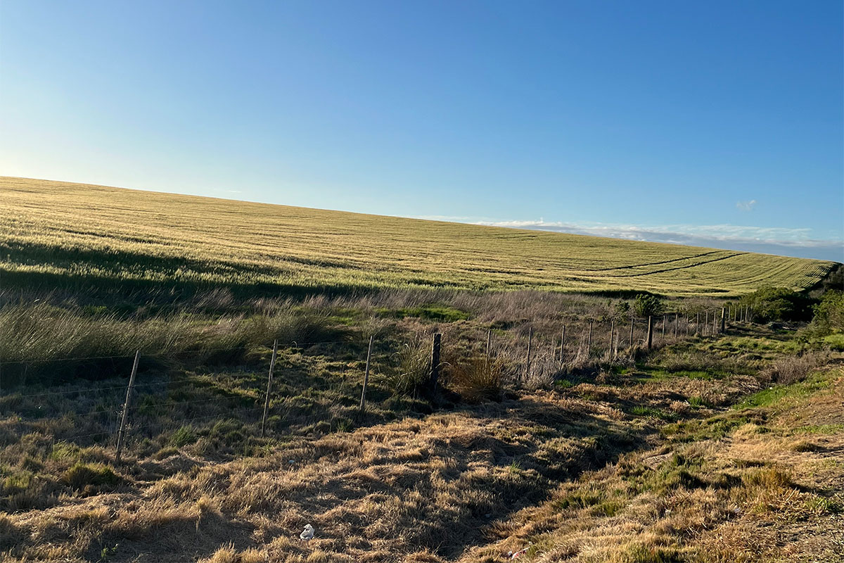 Eastern Cape emerging farmers urged to apply for 2027/28 support