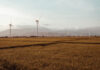 Climate risk planning becomes central to survival for South African farmers