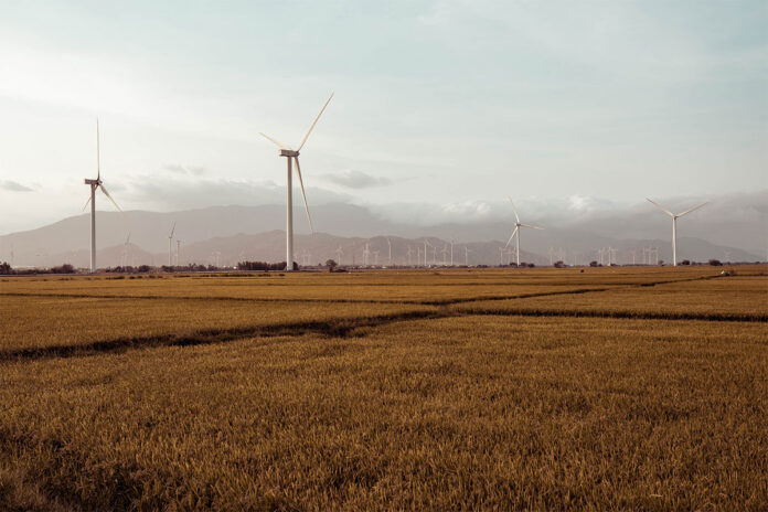 Climate risk planning becomes central to survival for South African farmers