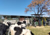 Agri Skills Transfer expands training offering for 2027