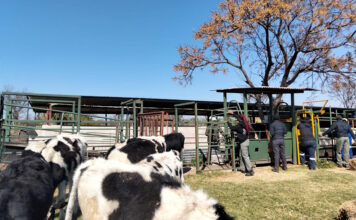 Agri Skills Transfer expands training offering for 2027