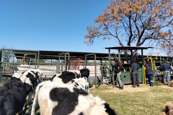 Agri Skills Transfer expands training offering for 2027