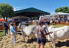 Recovery and unity in focus as livestock industry gathers on Day 1 of Nampo Alfa