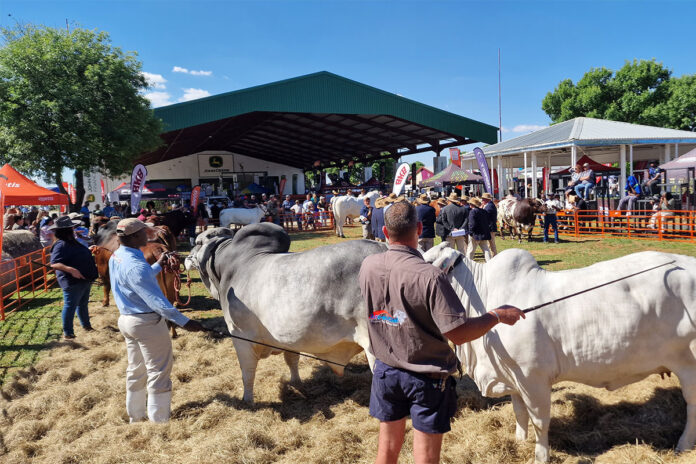 Recovery and unity in focus as livestock industry gathers on Day 1 of Nampo Alfa