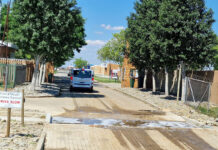 Biosecurity measures help drive strong livestock turnout at Nampo Alfa 2026
