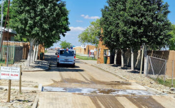 Biosecurity measures help drive strong livestock turnout at Nampo Alfa 2026