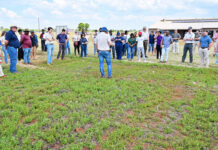 Joint research forum digs deep into conservation, regenerative agriculture