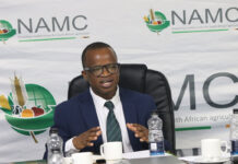 El Niño: farmers urged to protect cash flow, not just crops