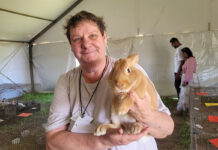 Royal Show puts a spring in rabbit breeders’ step