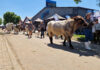 Nampo Alfa hails best event in a decade with African expansion plans