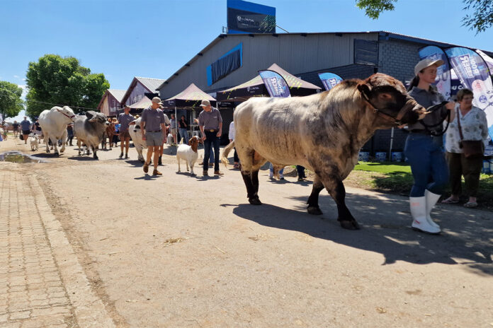 Nampo Alfa hails best event in a decade with African expansion plans