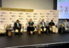 Gauteng looks to practical solutions for climate resilience