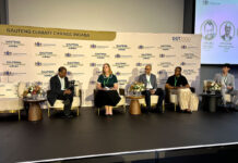 Gauteng looks to practical solutions for climate resilience