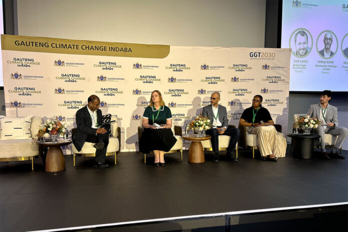 Gauteng looks to practical solutions for climate resilience