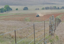 The transition from survival farming to sustainable profit